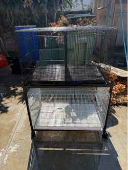 Bird cage