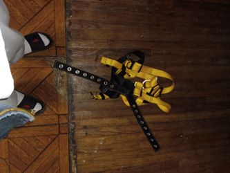 Harness