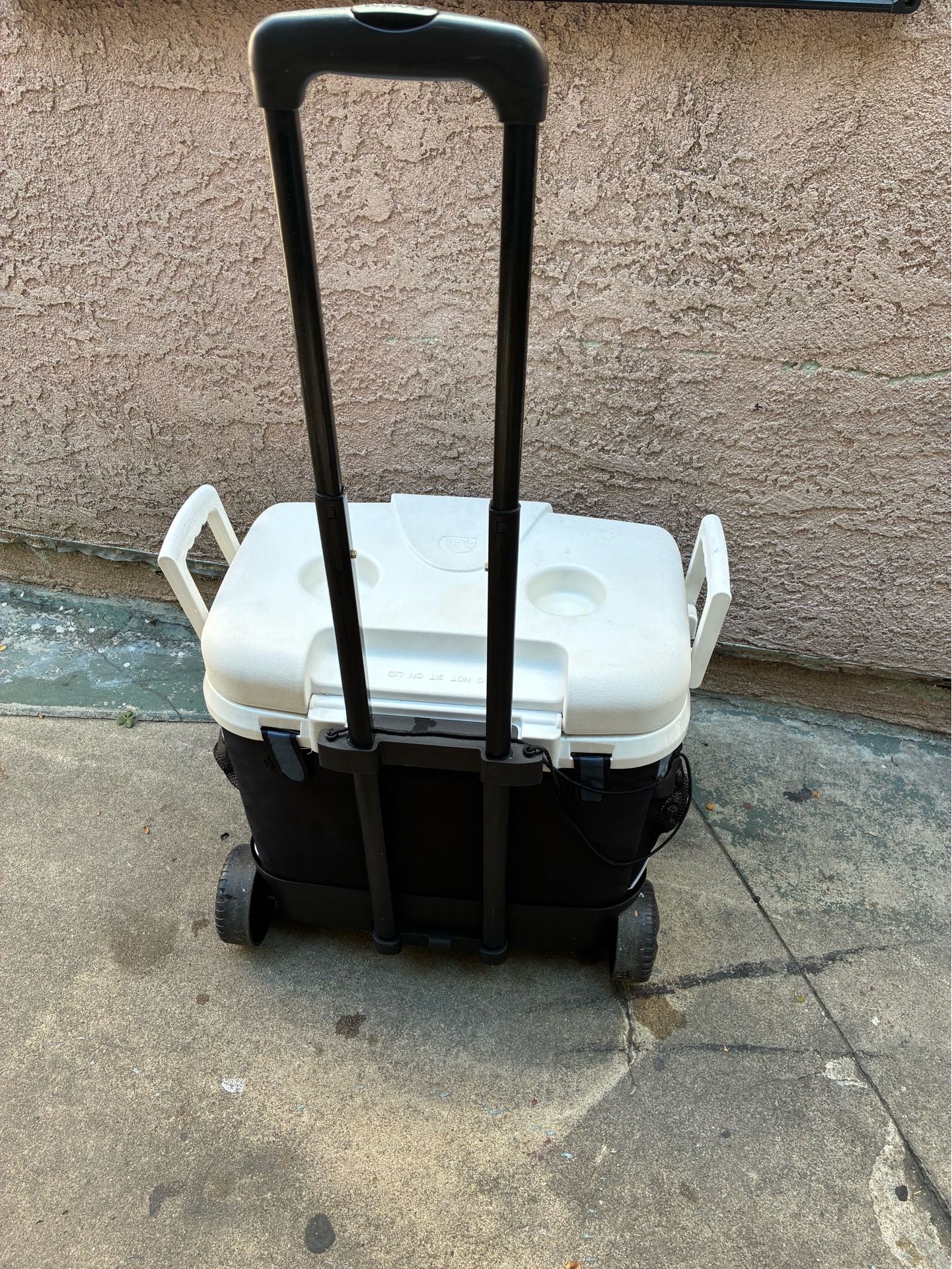 Cooler