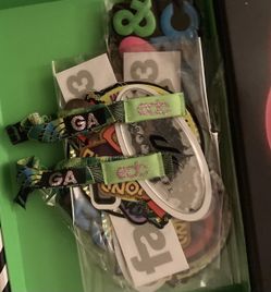 Edc Single Day Passes