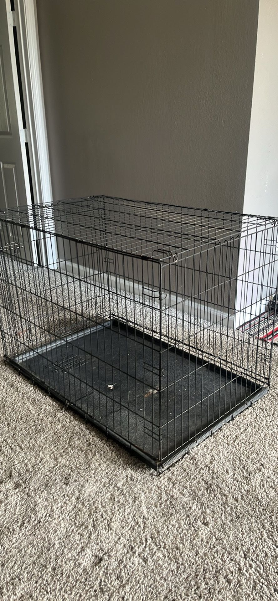 Dog Crate