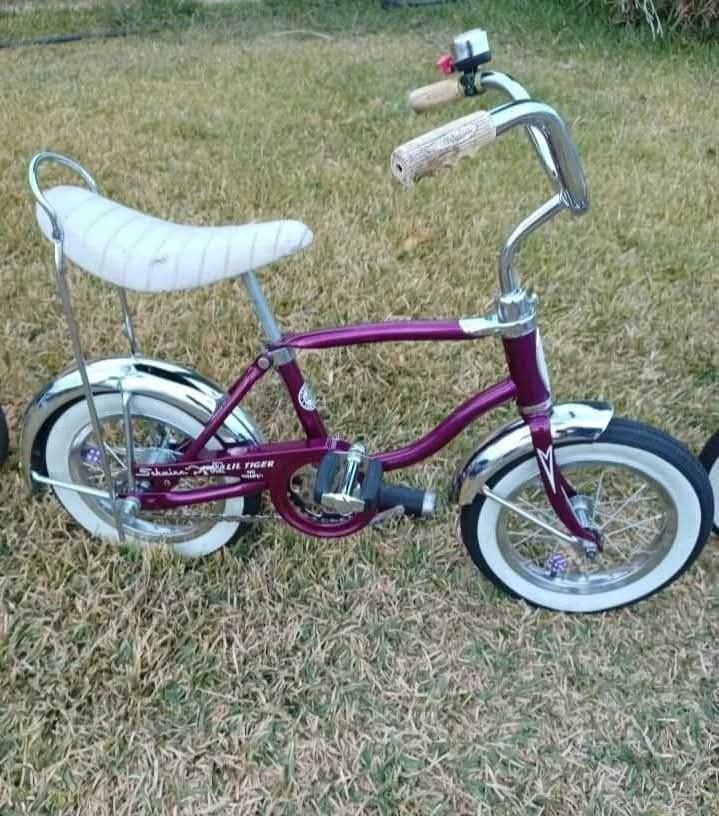 Schwinn Bikes 4 SALE