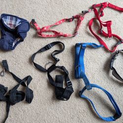 Small Dog Accessories 