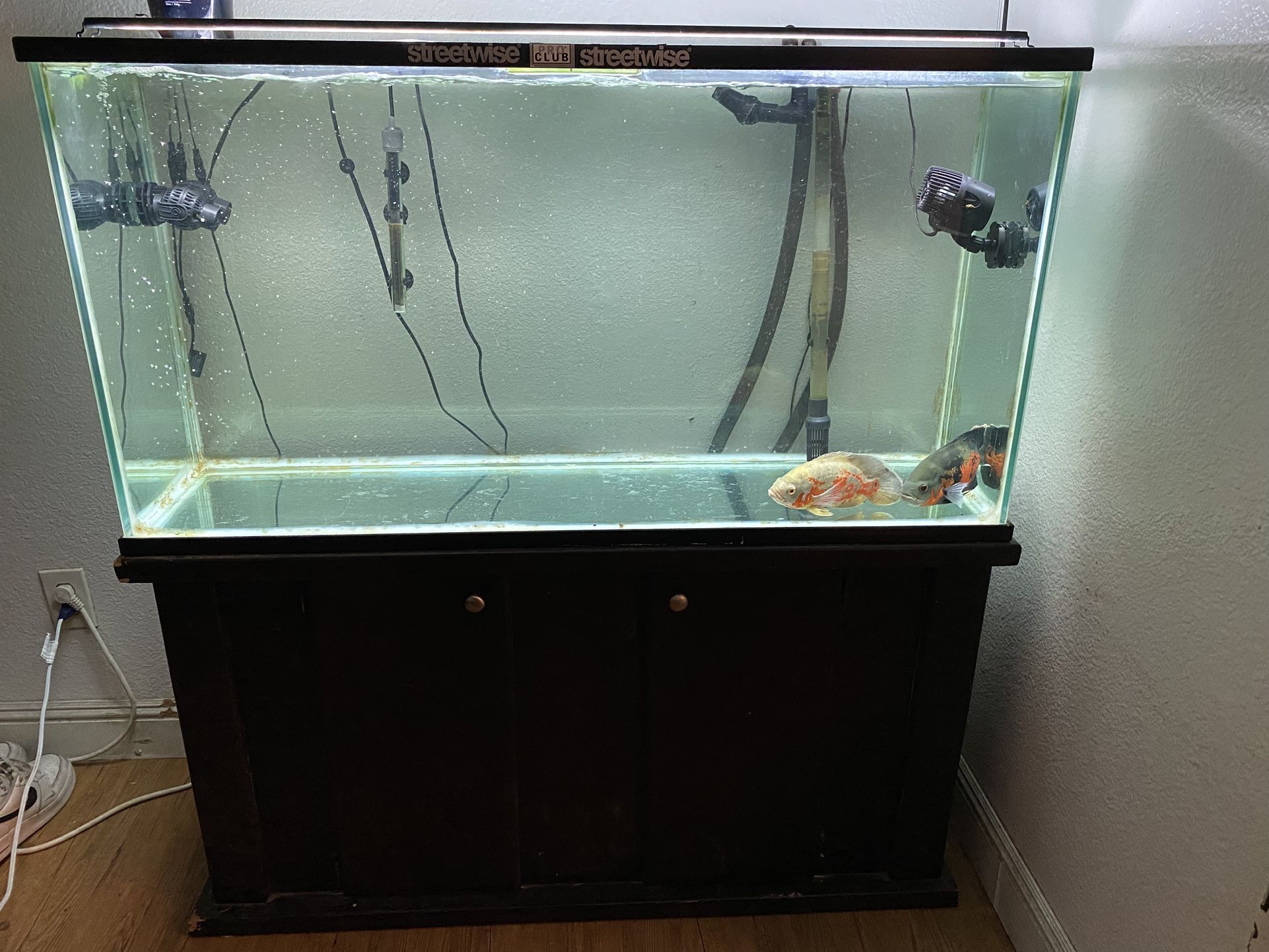 126 Gallon Fish Tank