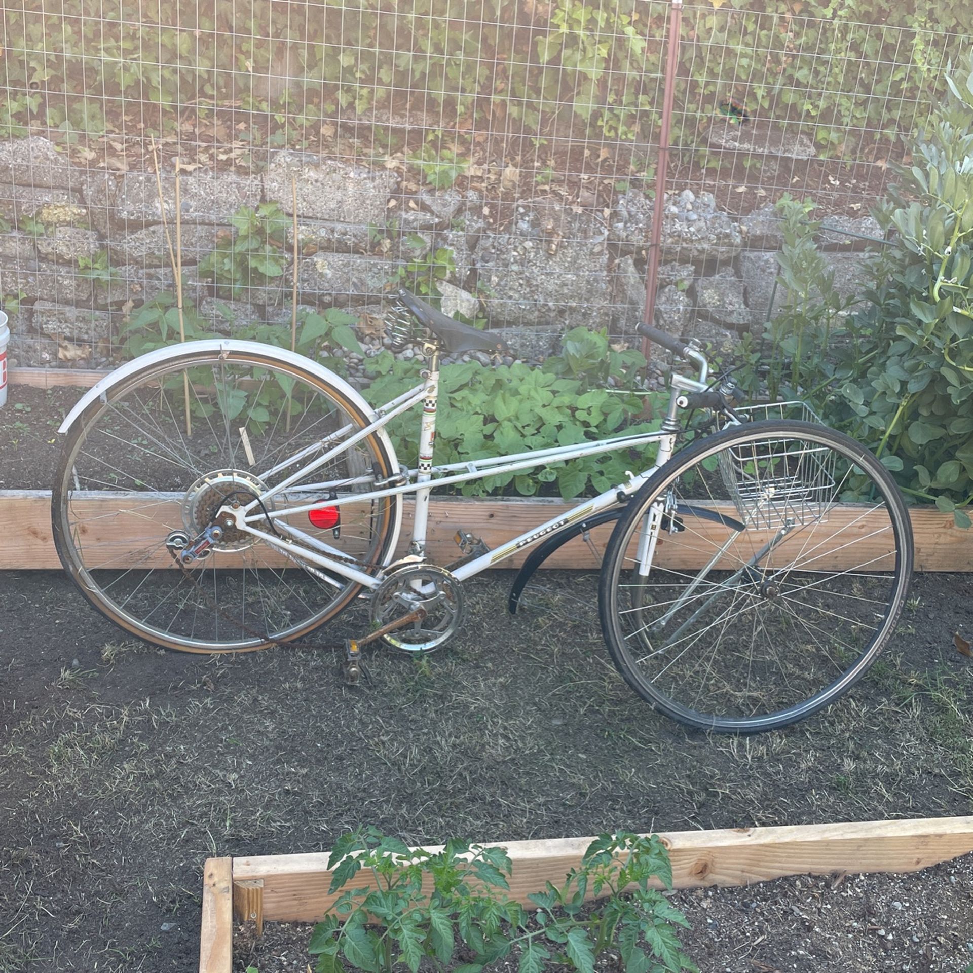 Vintage Peugeot Bicycle 