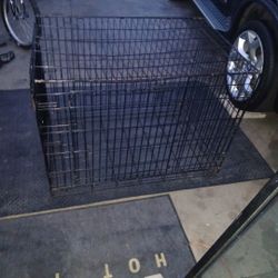 Dog Cage