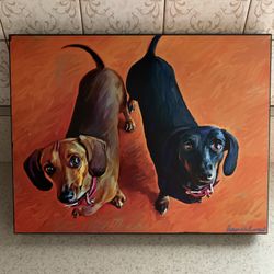 Adorable Dachshund Picture  Thumbnail