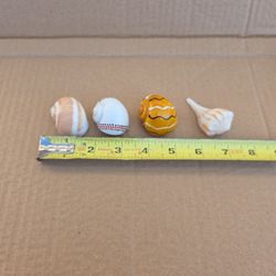Medium Hermit Crab Shells
