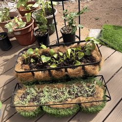 Set of 2 basket Plants 25 for bathrooms kitchen oficce