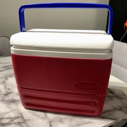 Small Cooler Fits 12 Cans