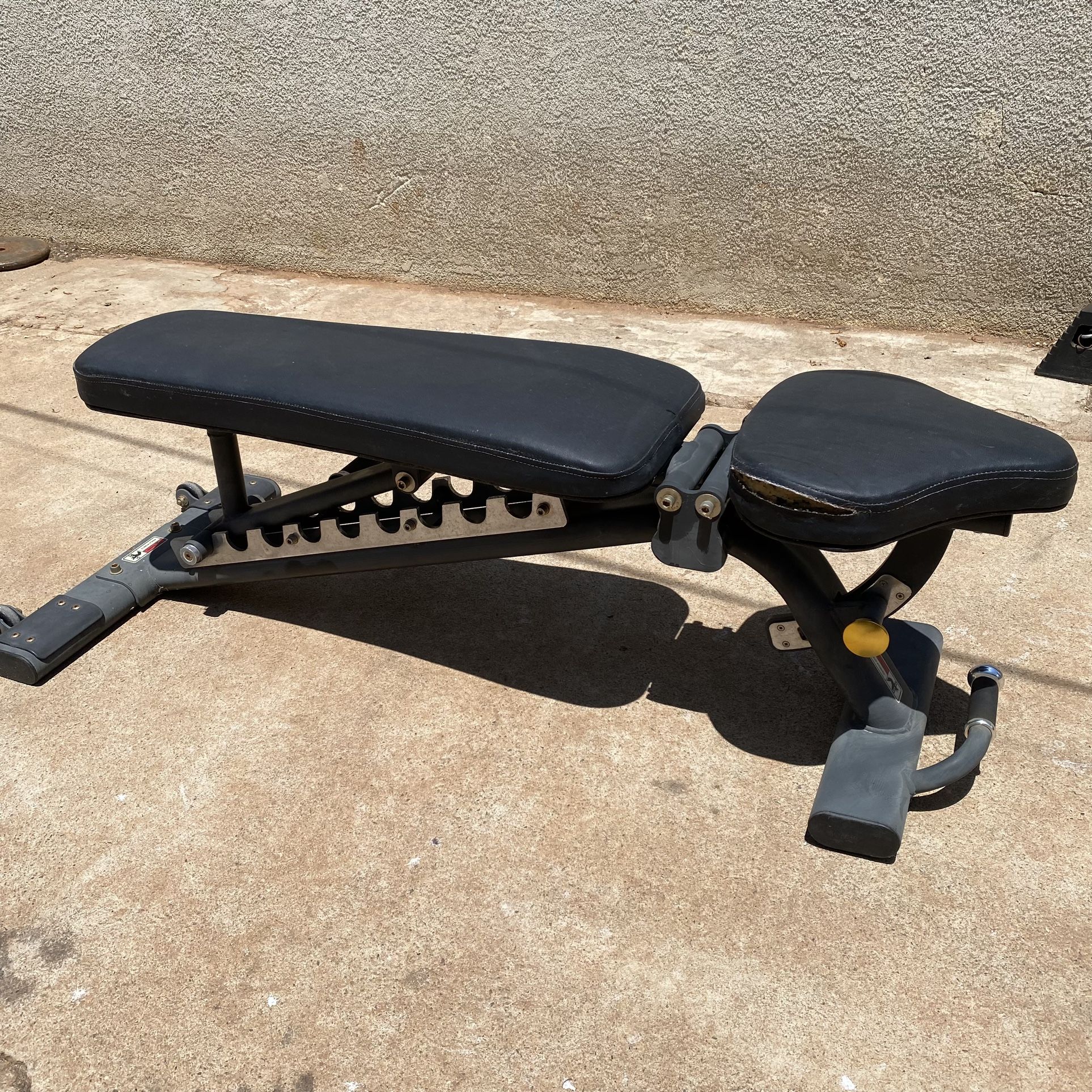 Adjustable Workout Bench 