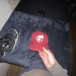 Blue Jays Fitted Hat 