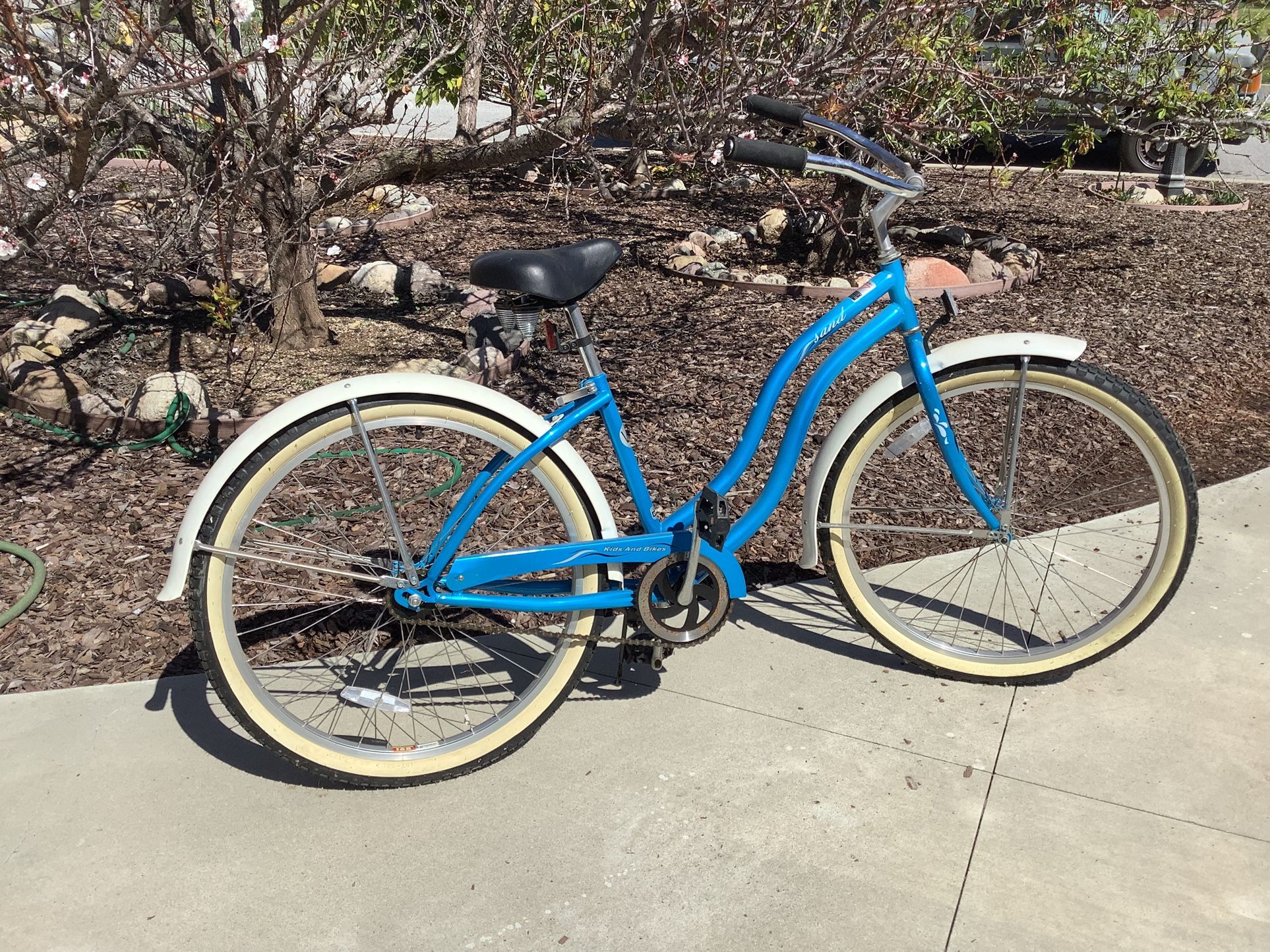 Cruiser Bike