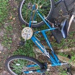 Roadmaster Bicycle