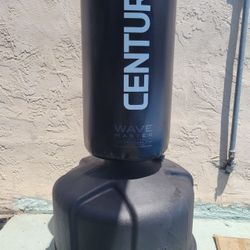 Century Punching Bag