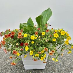 LAST CALL!!!! Lovely Flower Pots & Potted Arrangements 