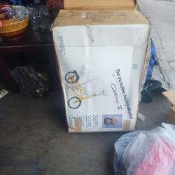 Folding Bike
