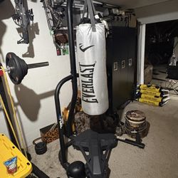 Boxing Bag And Stand 