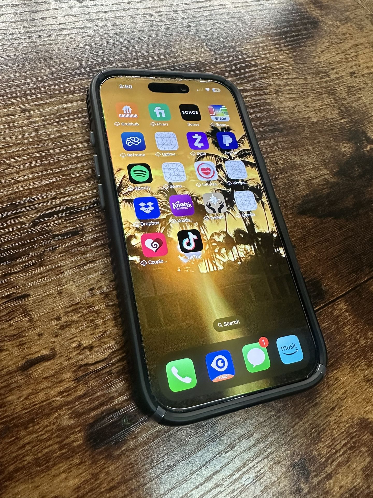 iPhone 16 Pro Max With Tic Tok