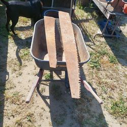 Old Saw Blades