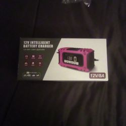 12v Intelligent Battery Charger