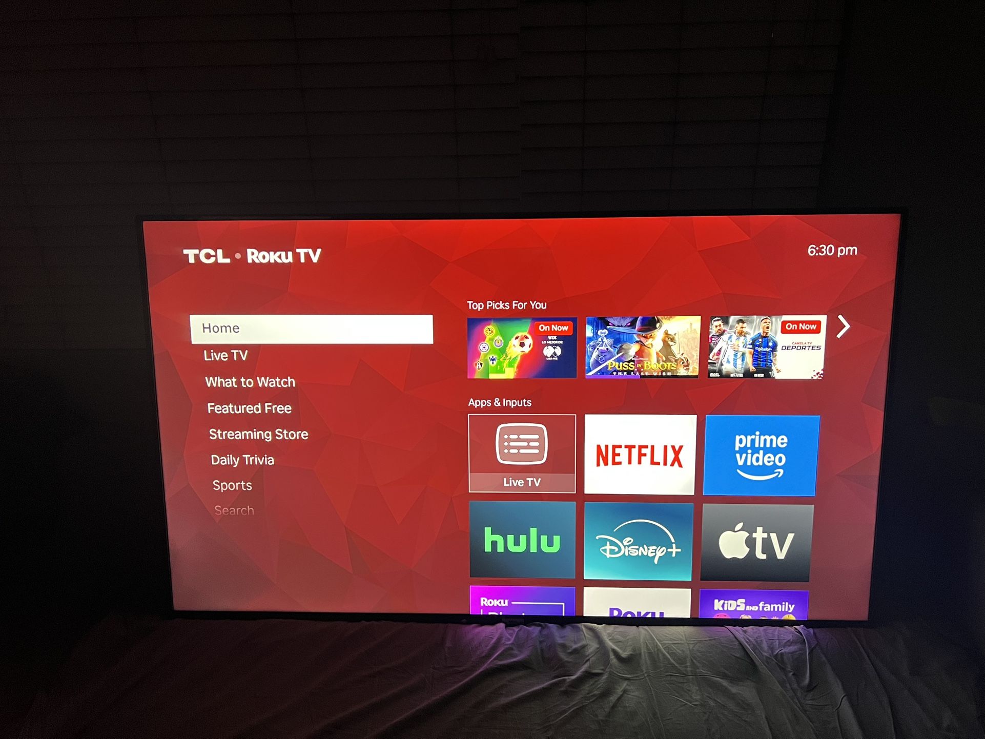 55 Inch 4K Roku TCL Smart TV