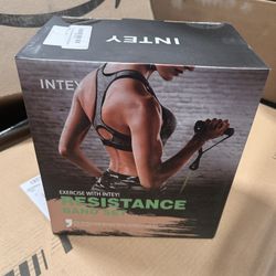 Intey 13-Pcs Portable Resistance Bands with Door Anchor, Handles, and Ankle Straps  Home Workout Set