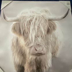 Highland Cow Painting 