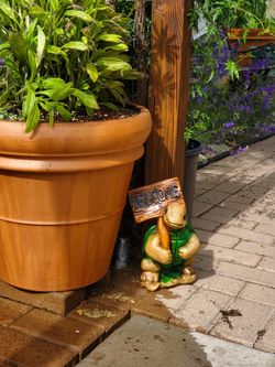 Small welcome turtle