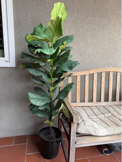 Artificial plant like new