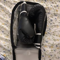 Everlast Boxing Gloves