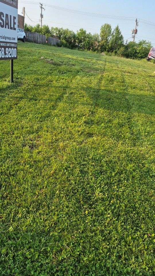 Mowing Service