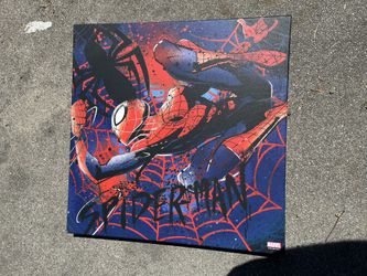 Spider man Canvas