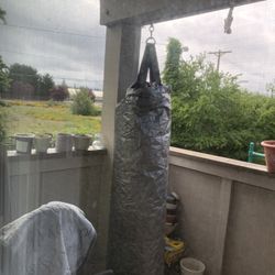 Everlast Punching Bag 