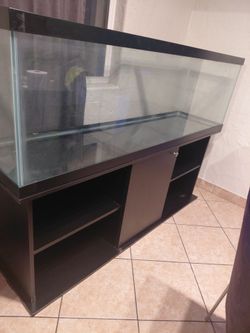 Fish Tank