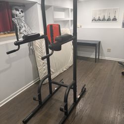 Captains Chair Gym Equipment 