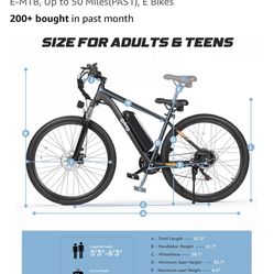 Q life racer  Electric Bike