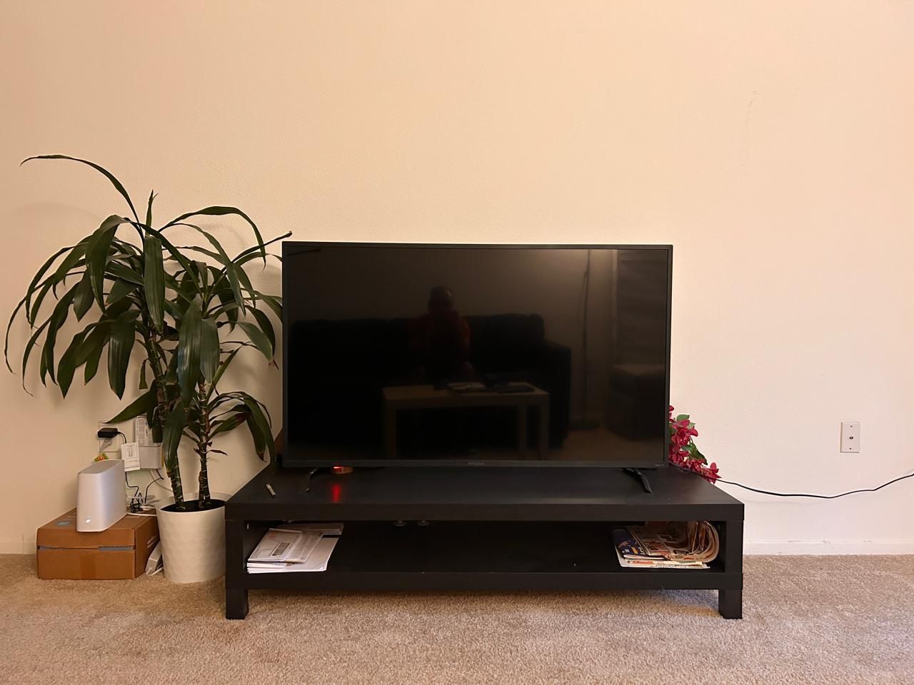 58” Roku Tv + Ikea TV stand