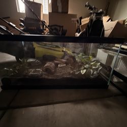 2 Reptile Tanks 