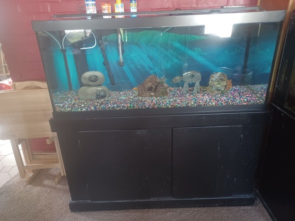 Aquarium