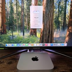 Mac Mini M1