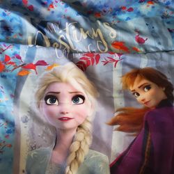 Frozen Sleeping Bag