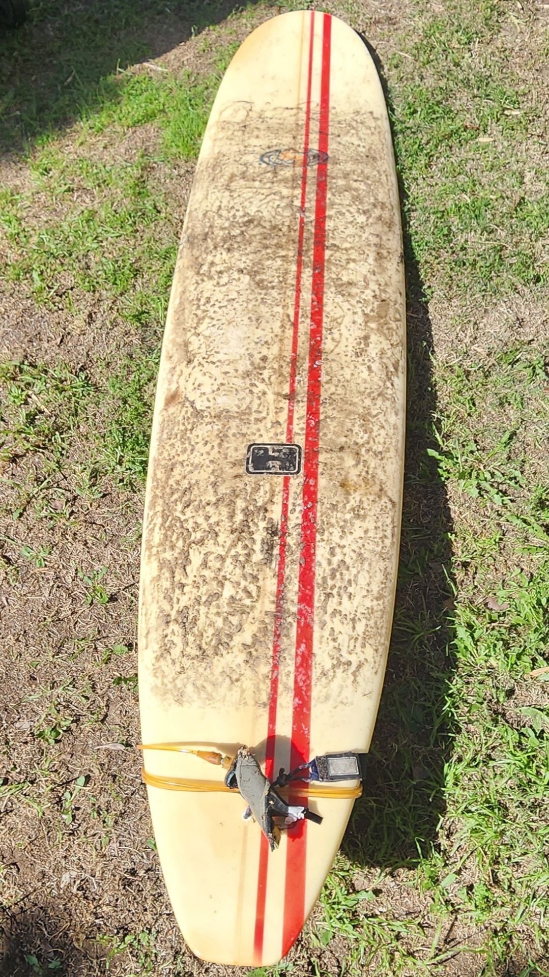 8'6" Surfboard