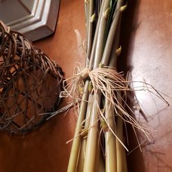 A Dozen Rubber Stalks With Black Grasses