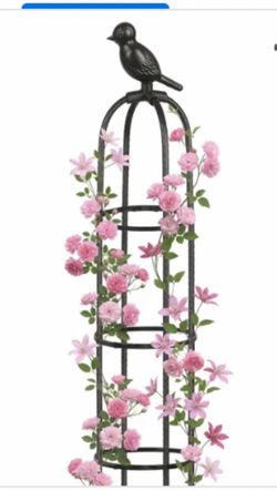 garden trellis designed to support climbing plants like roses or vines.