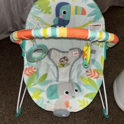 Baby Bouncer