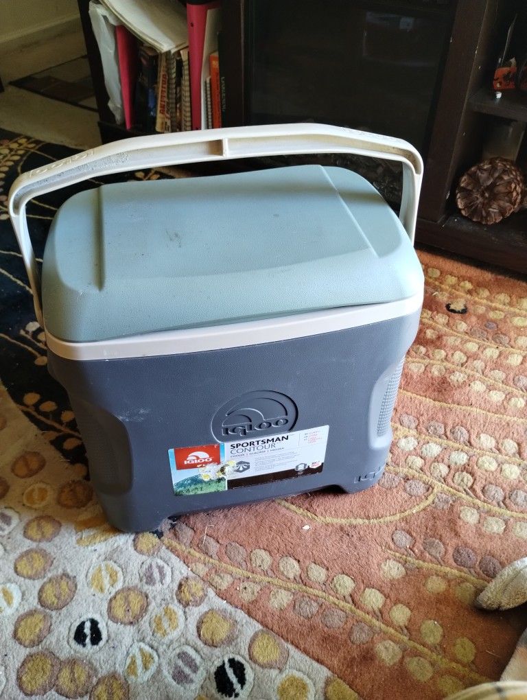 Igloo Cooler 20.00