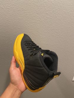 Air Jordan 12 retro