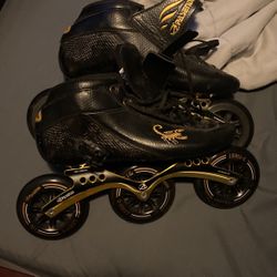 Pasendi Speed Skates