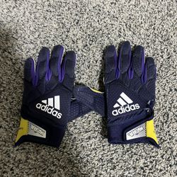 University Of Washington 91’ National Champion Limited Edition  College Football Gloves